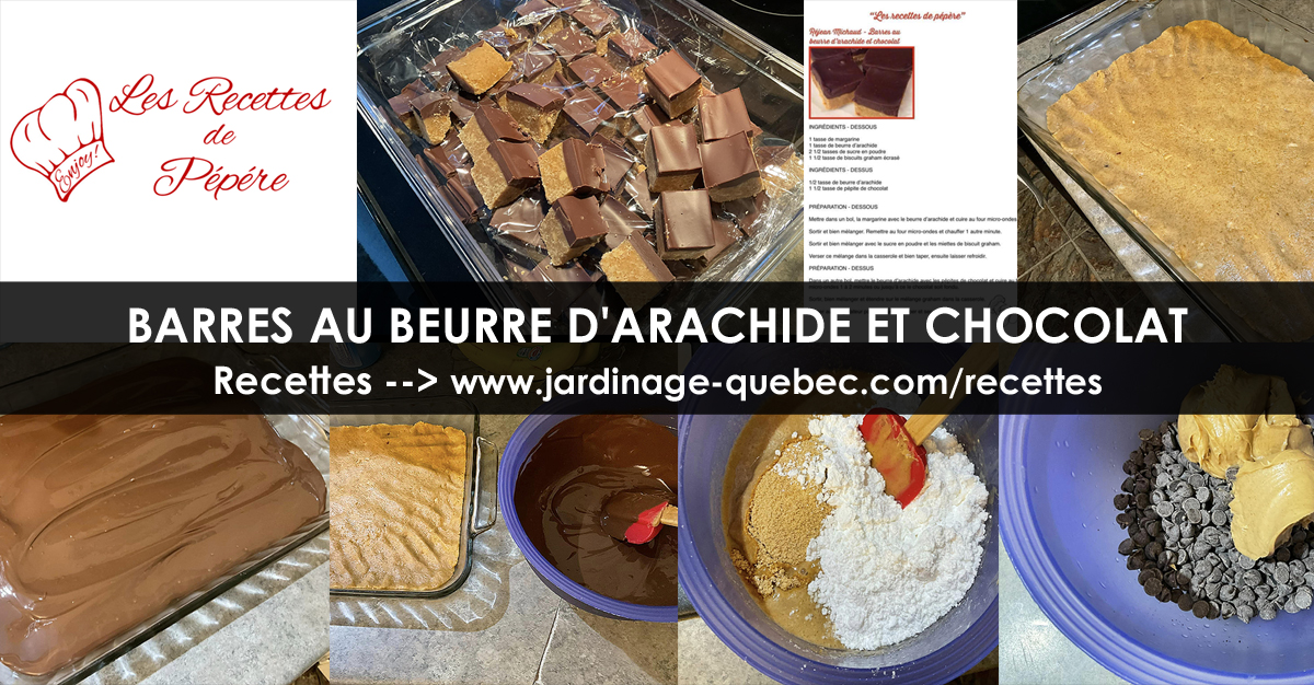 Barres au beurre d'arachide et chocolat