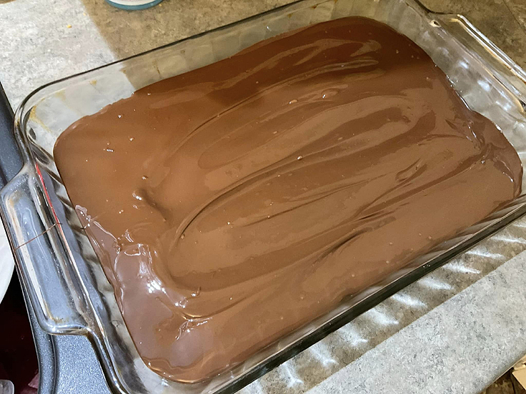 Barres au beurre d'arachide et chocolat