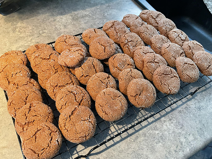 Biscuits à la mélasse roulés dans le sucre