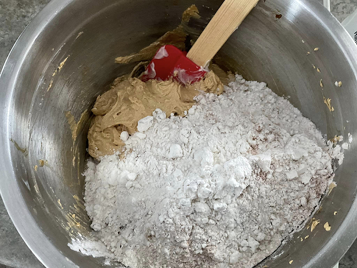Biscuits à la mélasse roulés dans le sucre