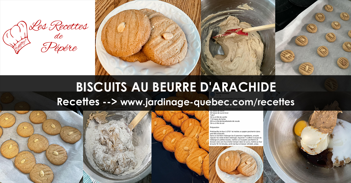 Biscuits au beurre d'arachide