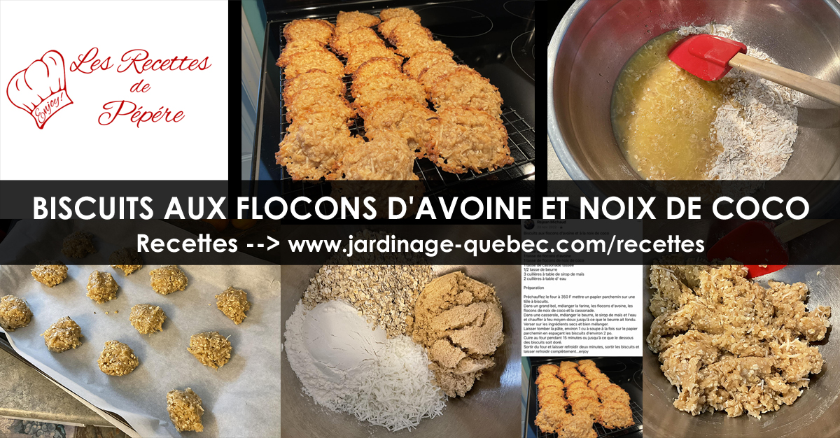 Biscuits aux flocons d'avoine et aux noix de coco