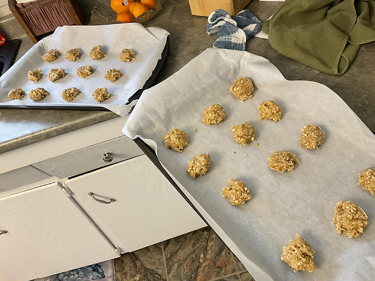 Recette de Biscuits aux flocons d'avoine et noix de coco