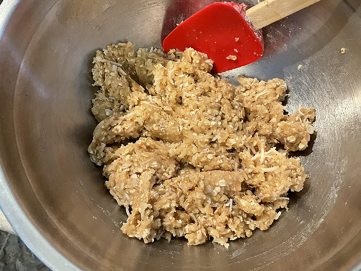 Biscuits aux flocons d'avoine et noix de coco - La recette