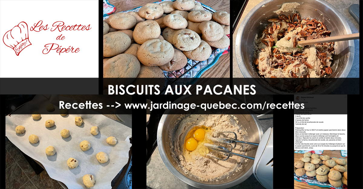 Biscuits aux pacanes