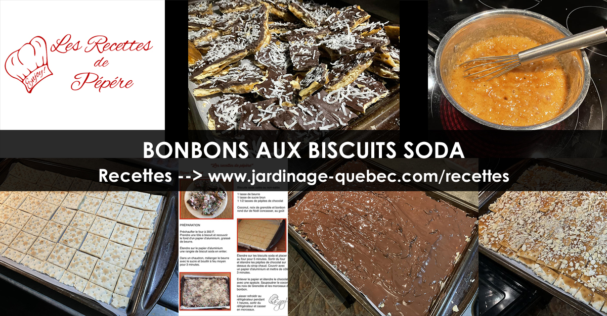 Bonbons aux biscuits soda
