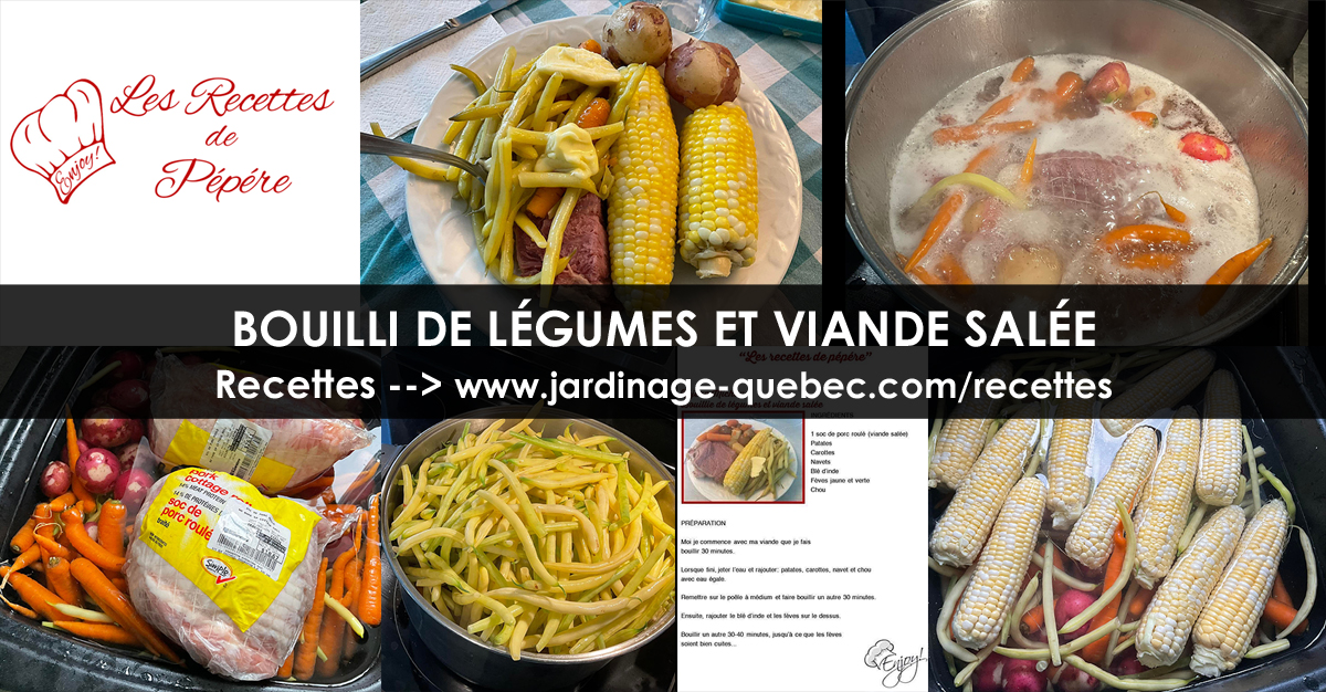 Bouilli de Légumes et Viande Salée
