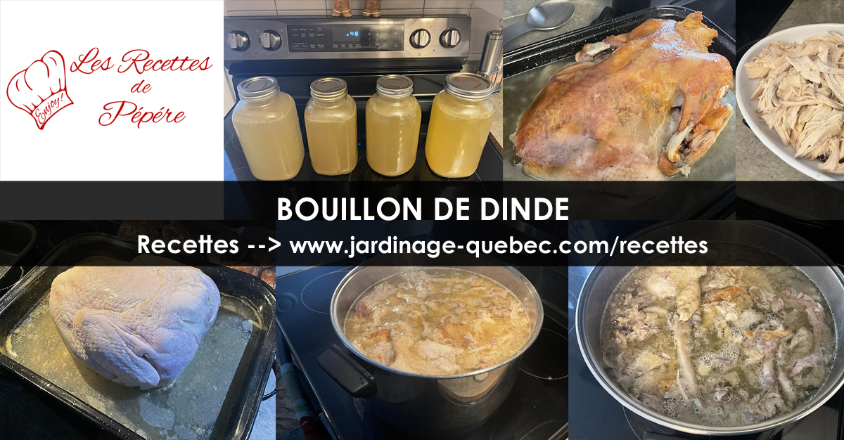 Recettes de Bouillon de dinde