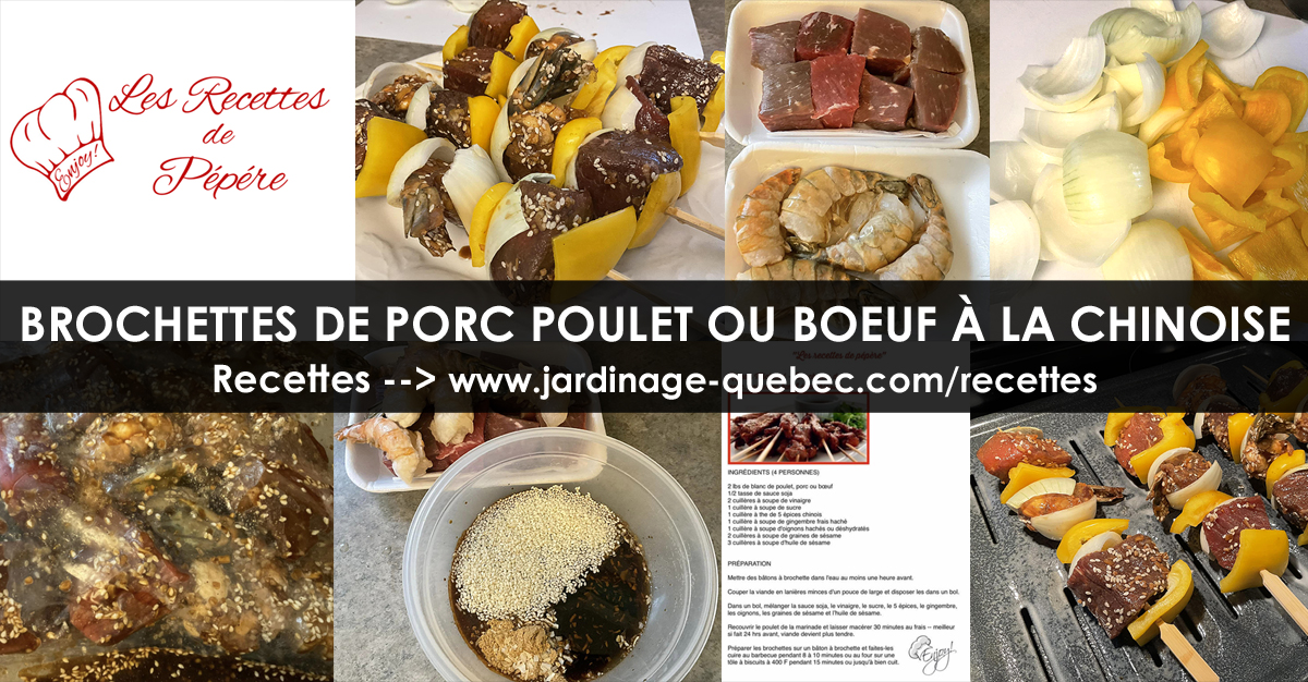Brochettes de poulet porc ou boeuf à la chinoise