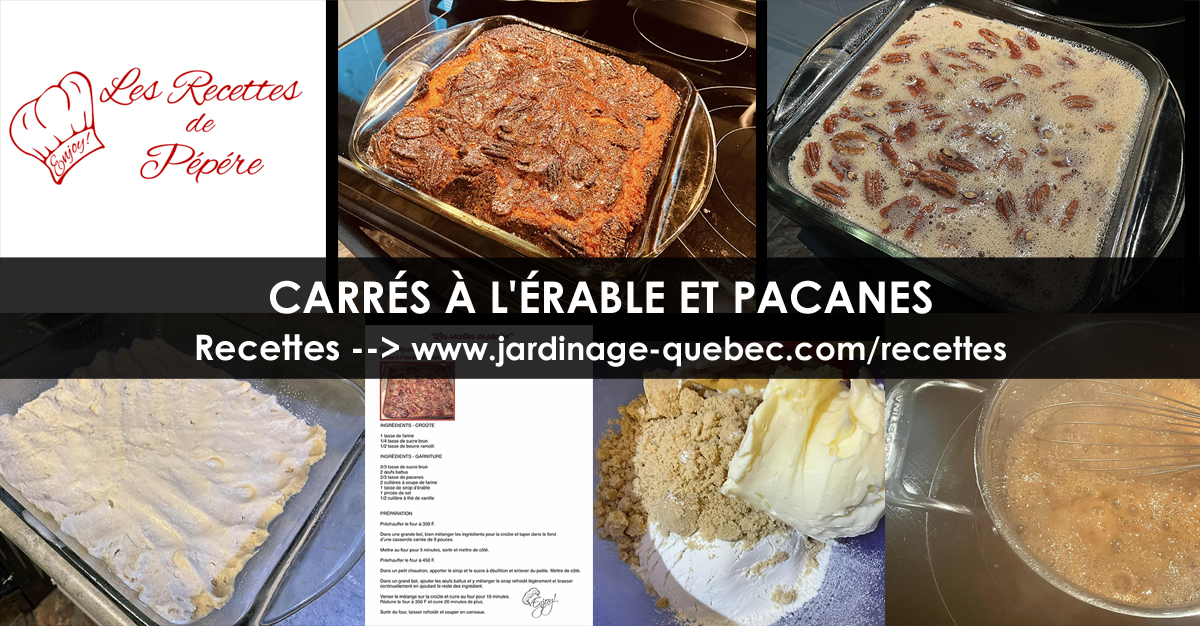 Carrés à l'érable et aux pacanes