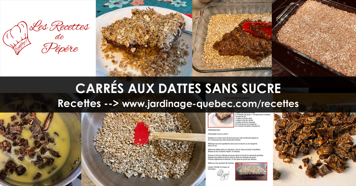 Carrés aux dattes sans sucre