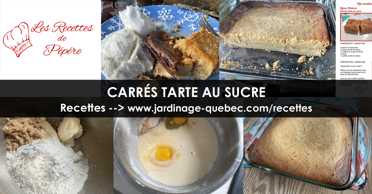 Carrés tarte au sucre