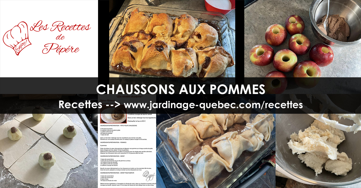 Chaussons aux Pommes