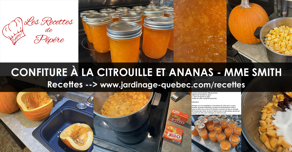 Confiture à la citrouille et ananas