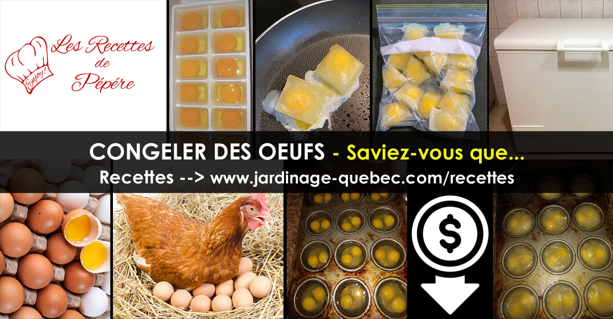 Congeler des oeufs