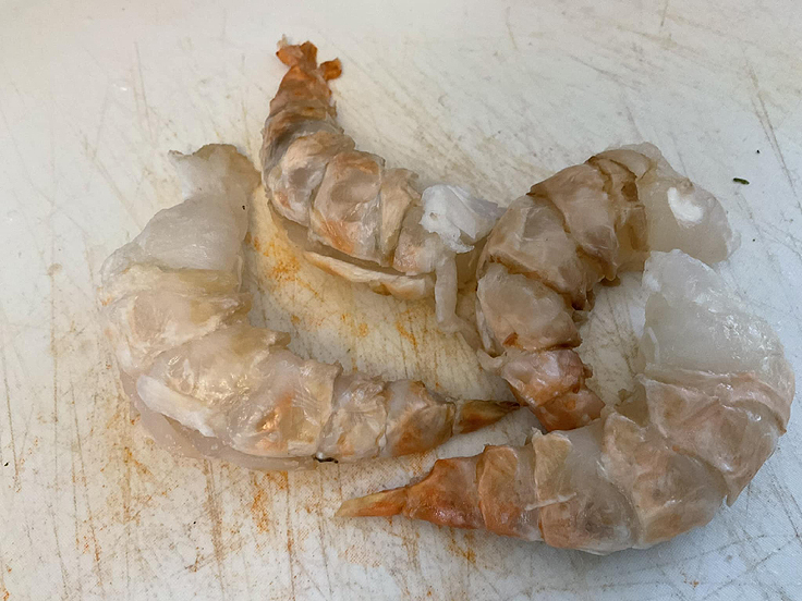 Coquilles Saint-Jacques