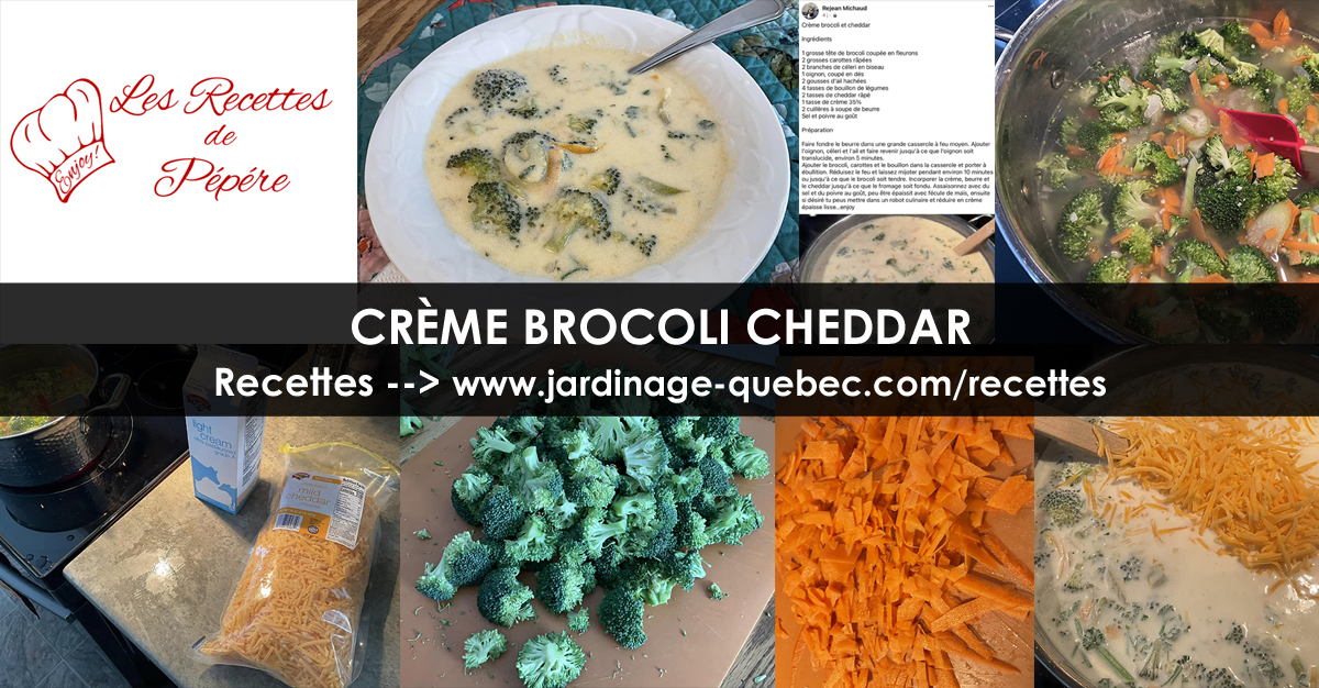 Crème de brocoli et cheddar