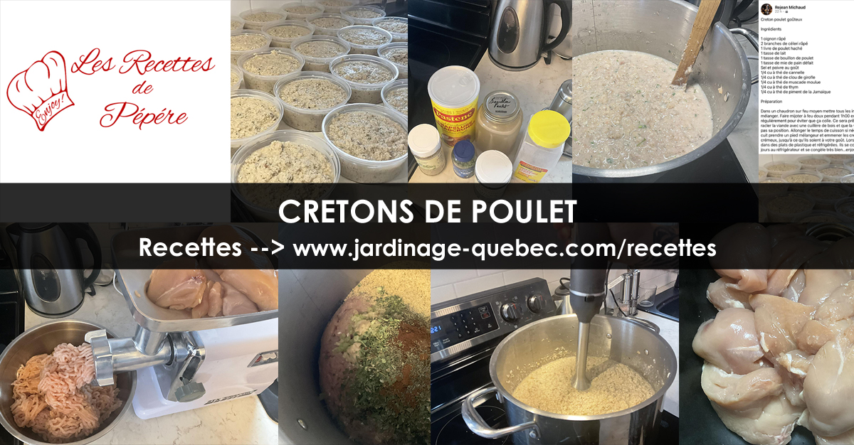 Cretons au poulet goûteux
