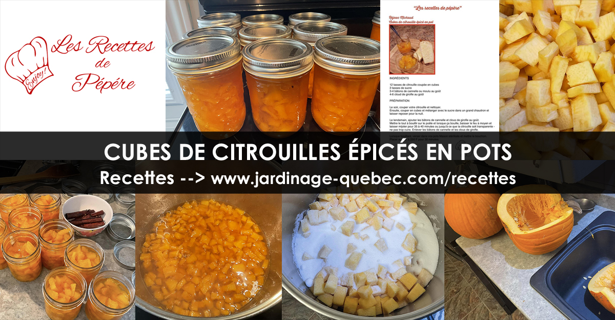 Cubes de citrouilles épicés en pots