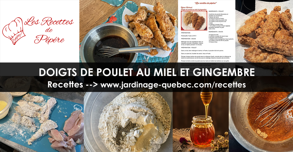 Doigts de poulet au miel et gingembre