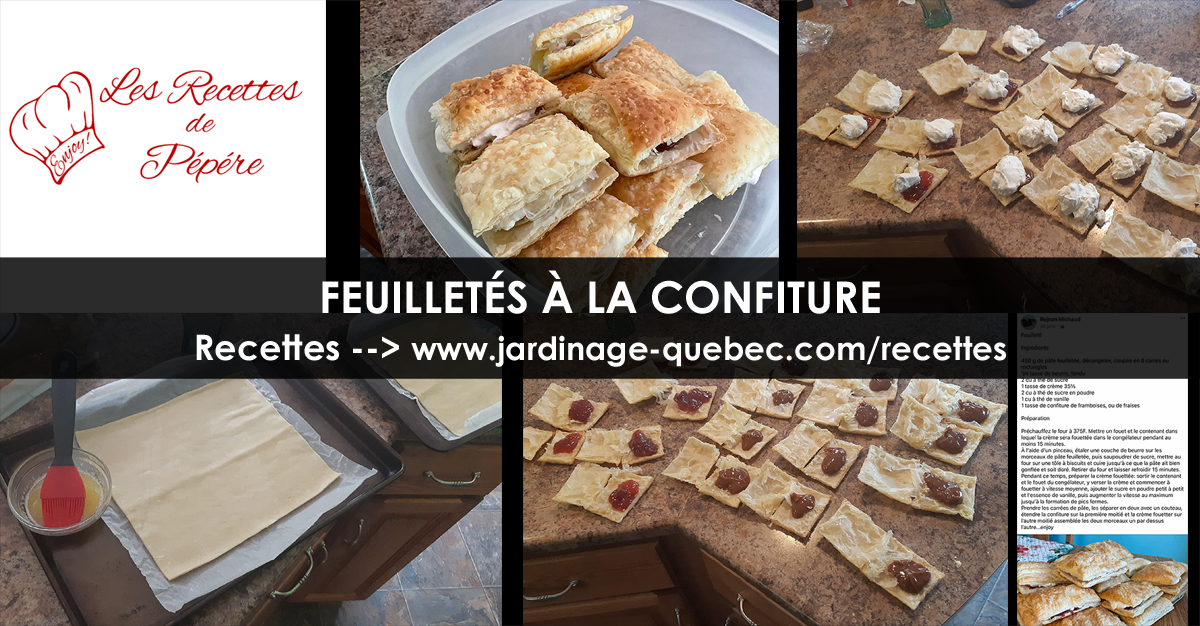 Feuilleté à la confiture