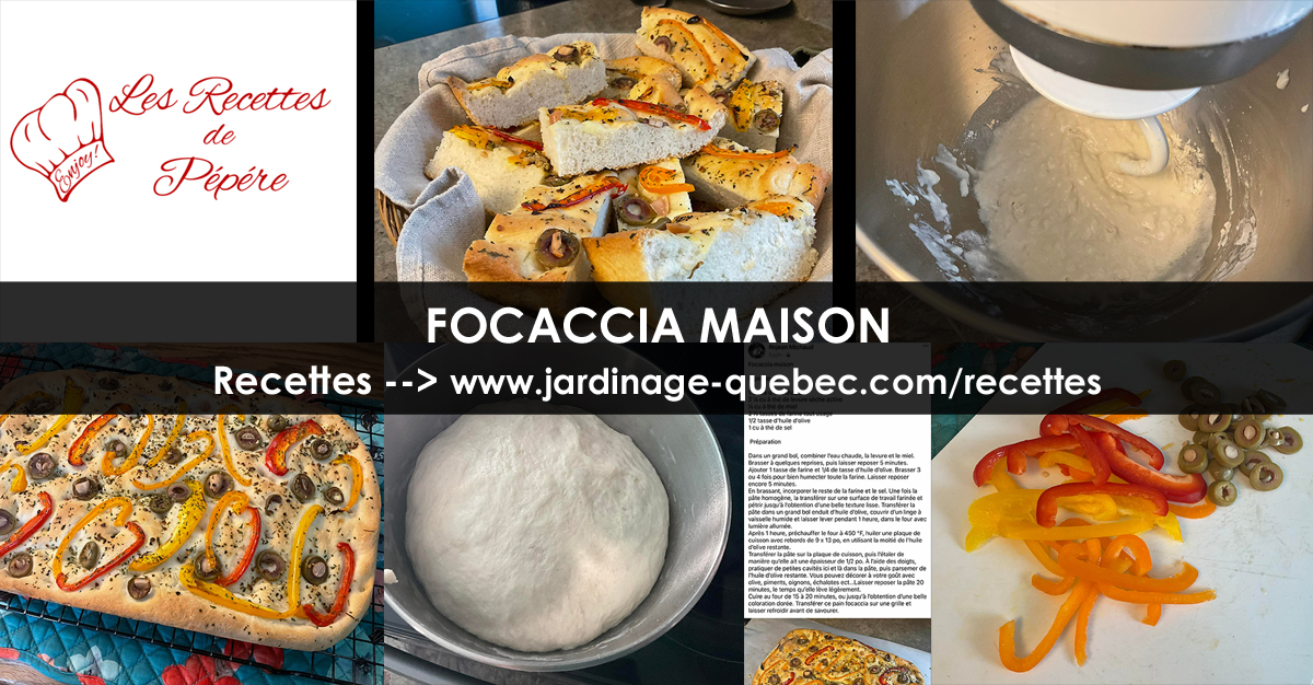 Focaccia Maison