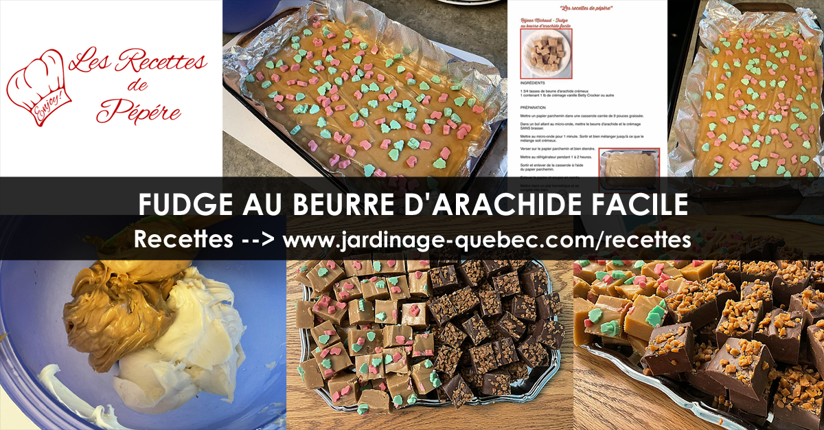 Fudge au beurre d'arachide facile