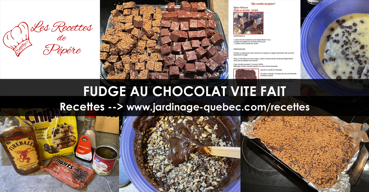 Fudge au chocolat vite fait