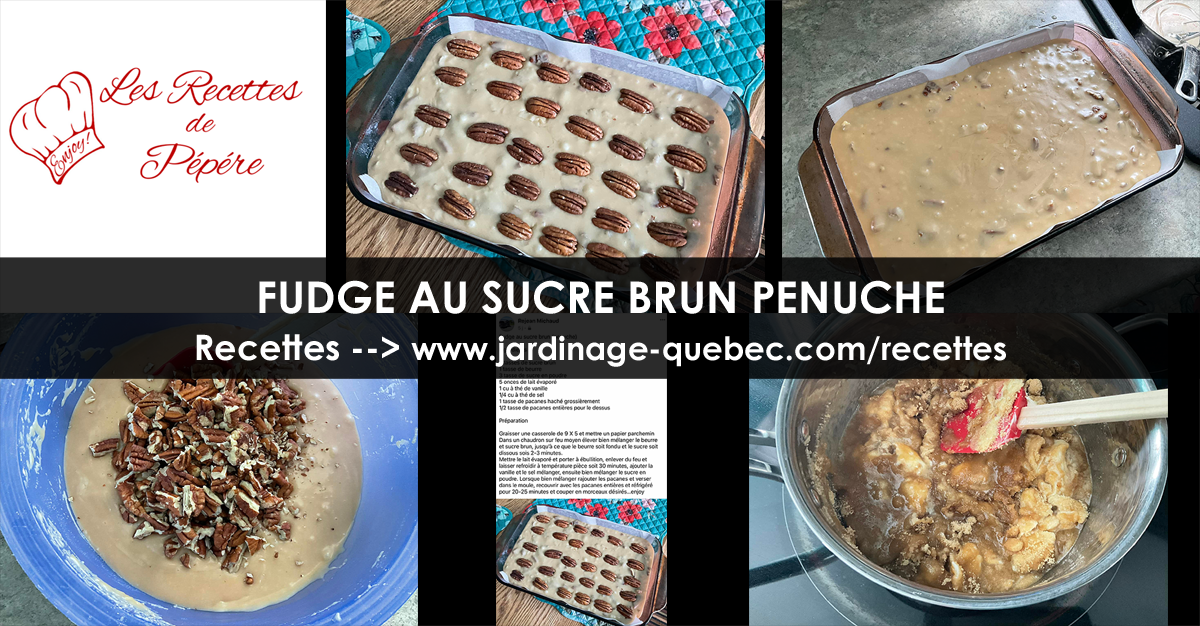 Fudge au sucre brun Penuche