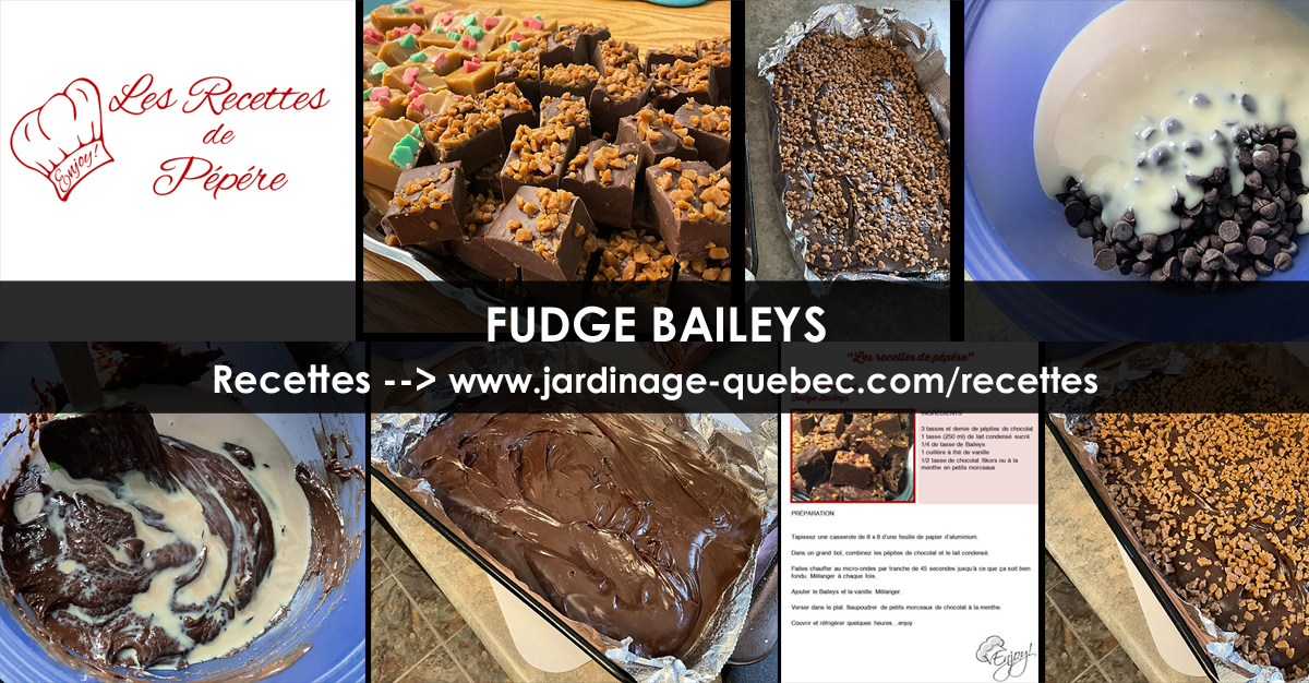 Fudge Baileys
