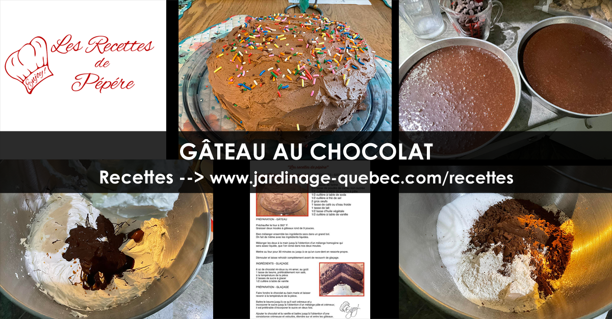 Gâteau au Chocolat