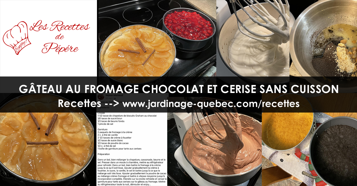 Gâteau au fromage chocolat cerise sans cuisson