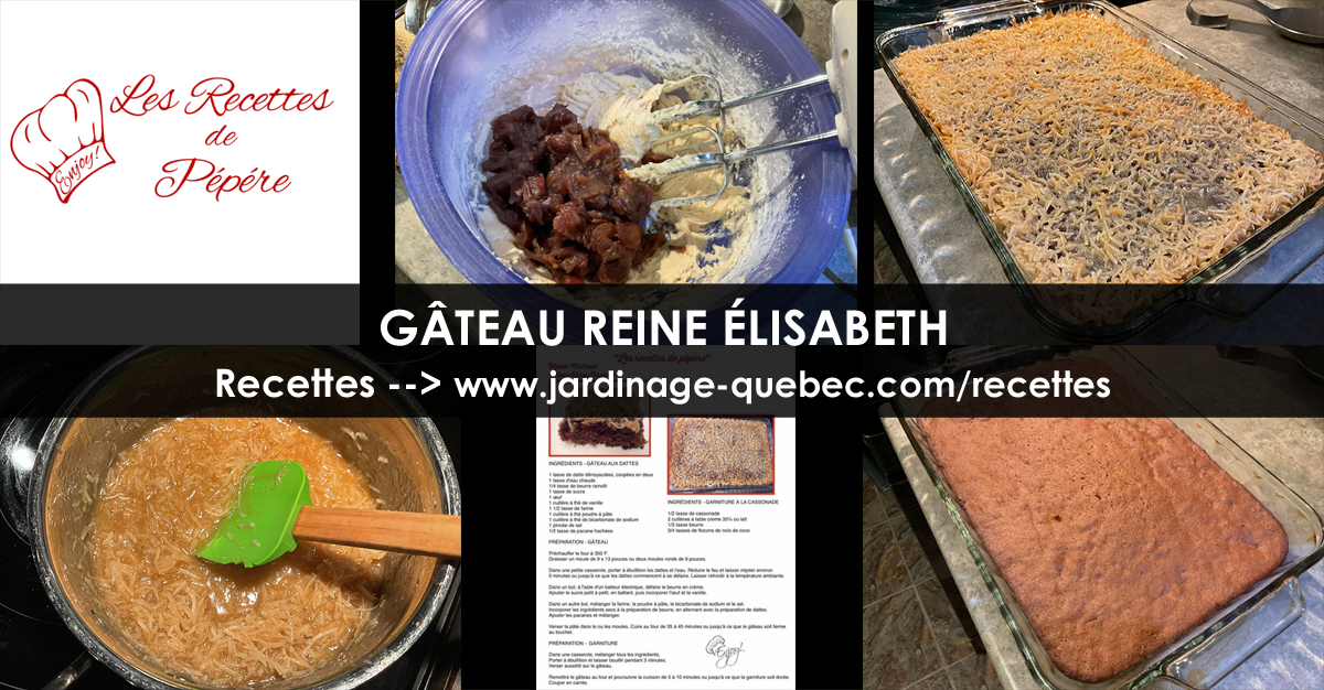 Gâteau Reine Élisabeth