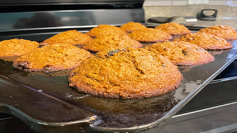 Muffins au son et raisins