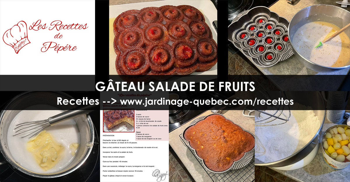 Gâteau Salade de Fruits