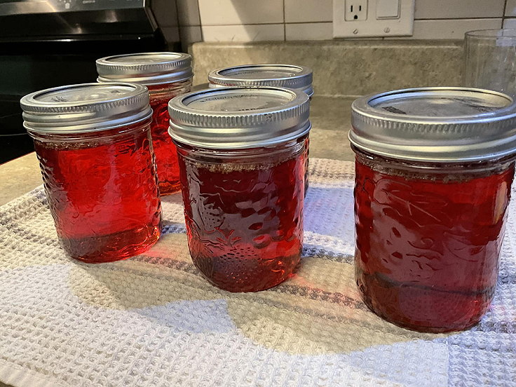 Recette de Gelée aux pommes