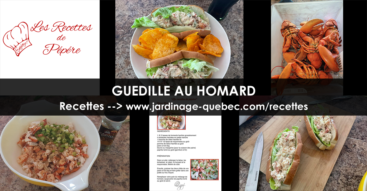 Guedille au Homard