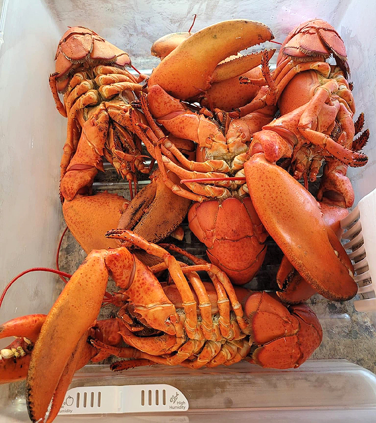 Recette de Guedille au Homard