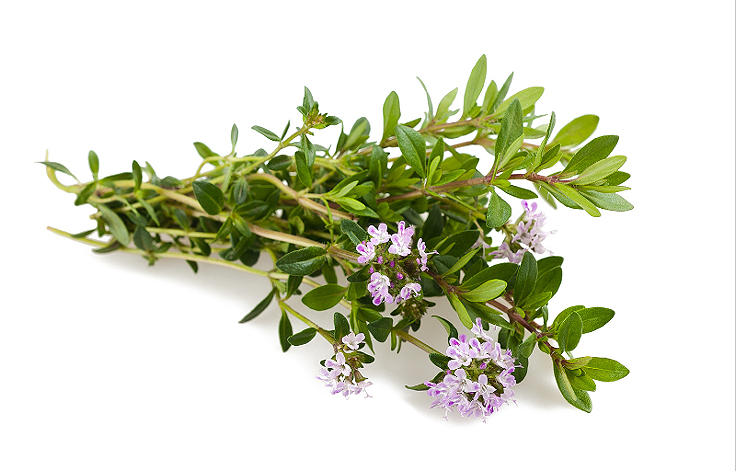 Herbes de Provence