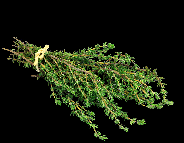 Kit De Semences Herbes De Provence - 7 Variétés : Origan, Thym, Romarin, Marjolaine, Basilic, Estragon, Sarriette