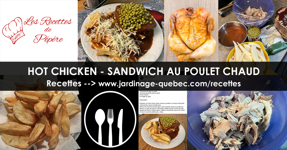 Hoe Chicken ou Sandwich au Poulet Chaud