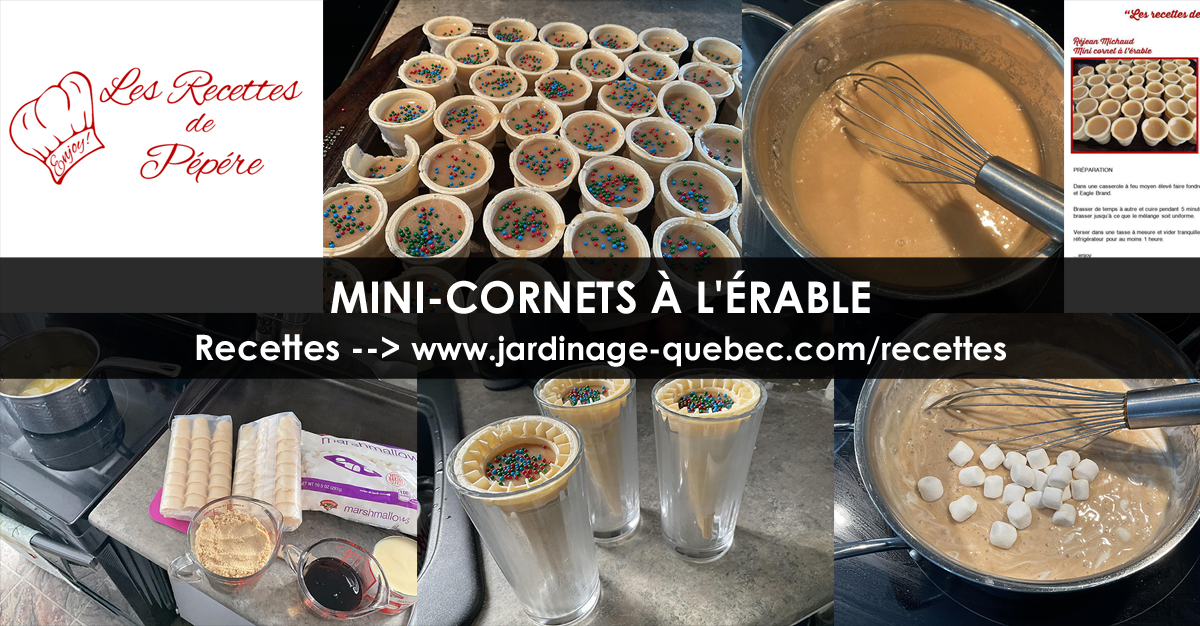 Mini-cornets à l'érable
