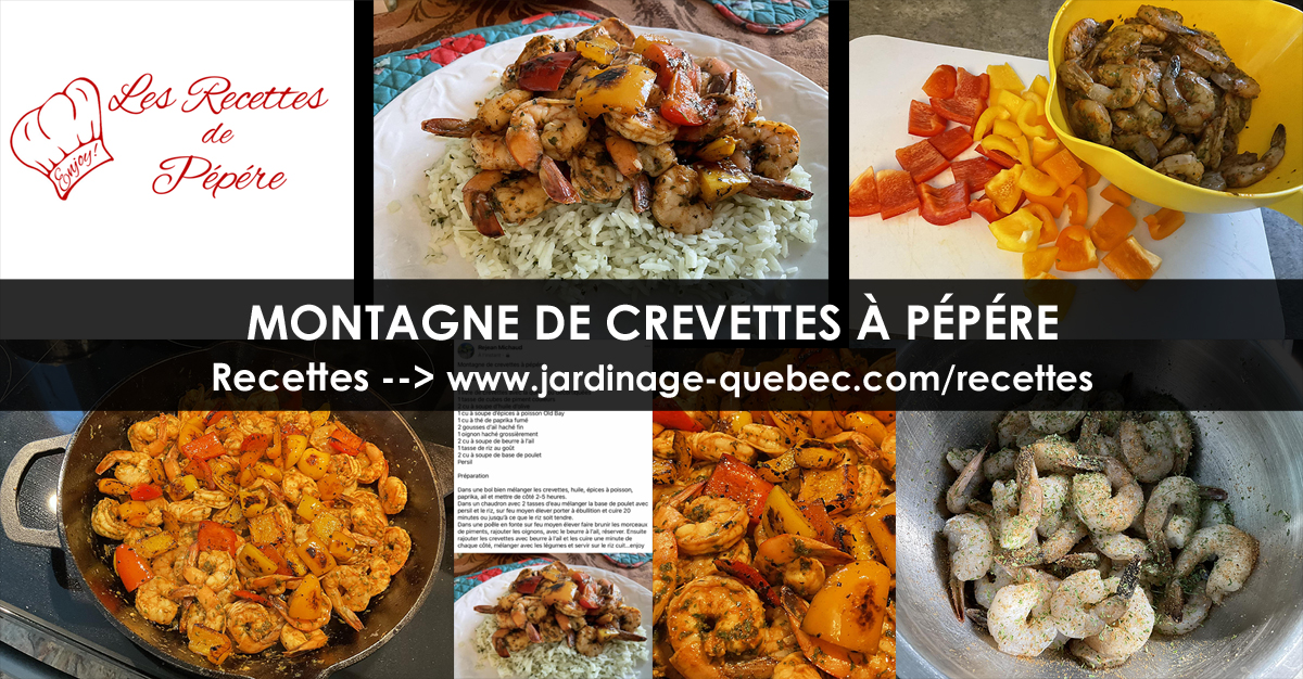 Recettes Crevettes