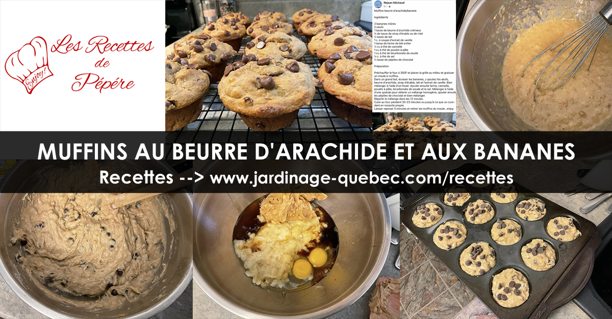 Muffins au beurre d'arachide et aux bananes