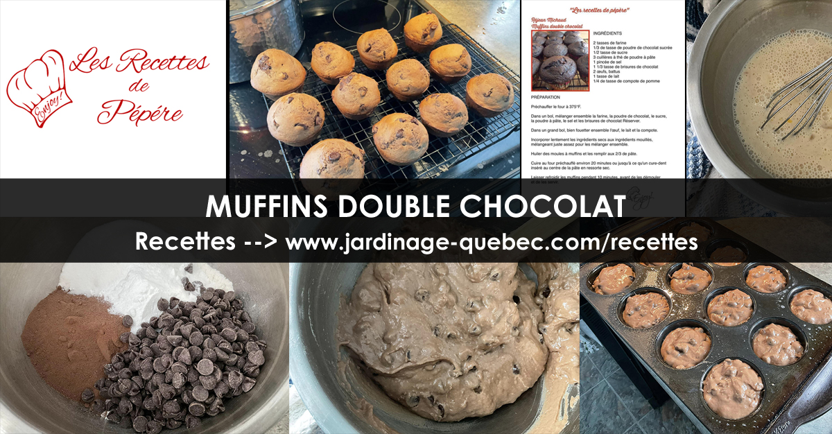 Muffins double chocolat
