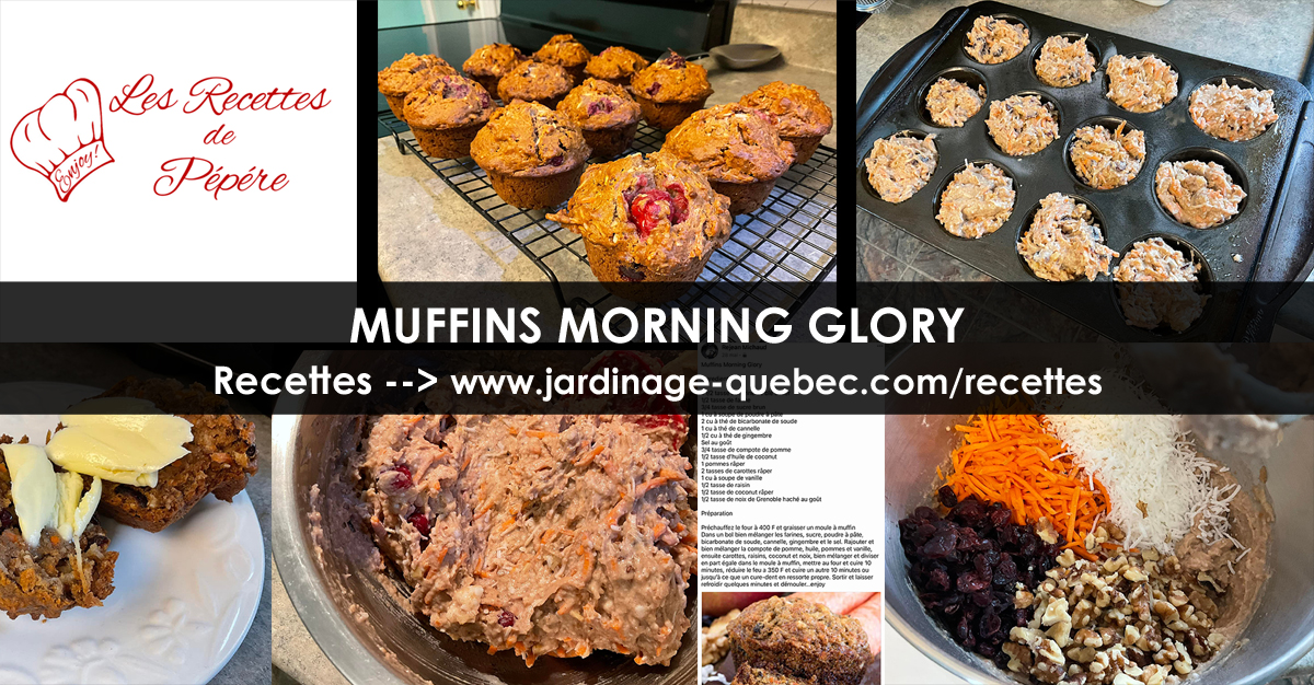 Muffins morning glory
