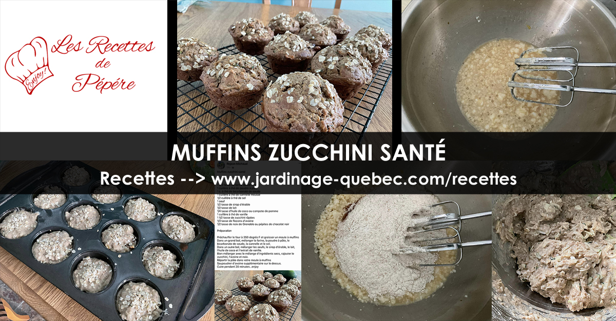 Muffins aux courgettes