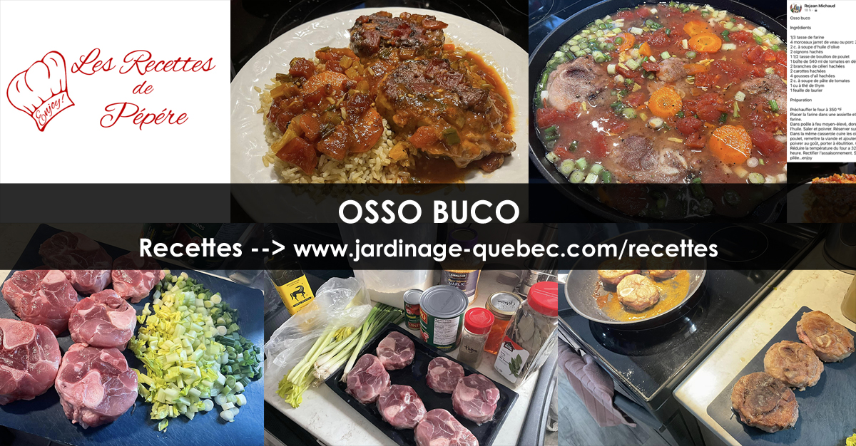 Osso buco