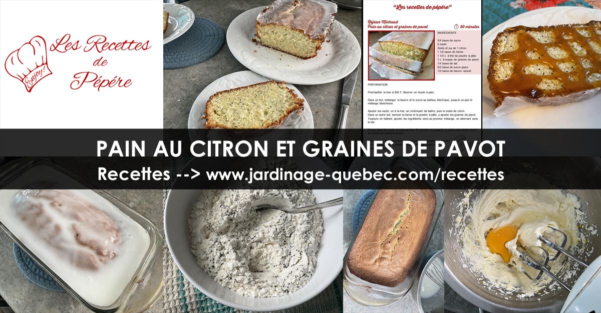 Pain au citron et graines de pavot