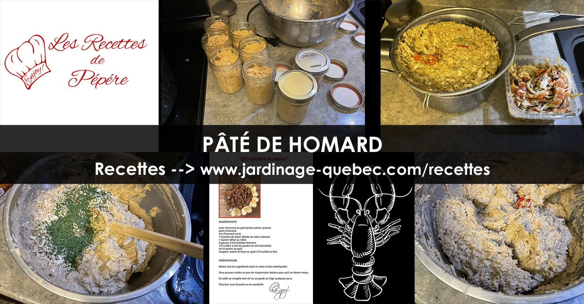 Pâté de homard